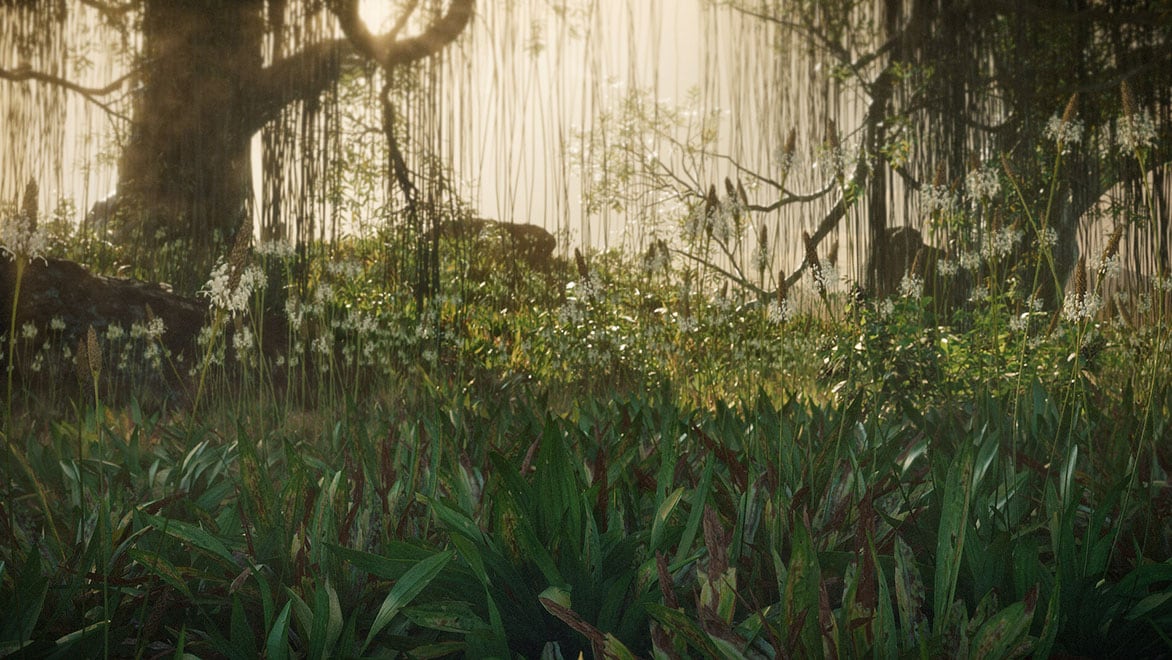 Environment with grass and trees in the morning sun